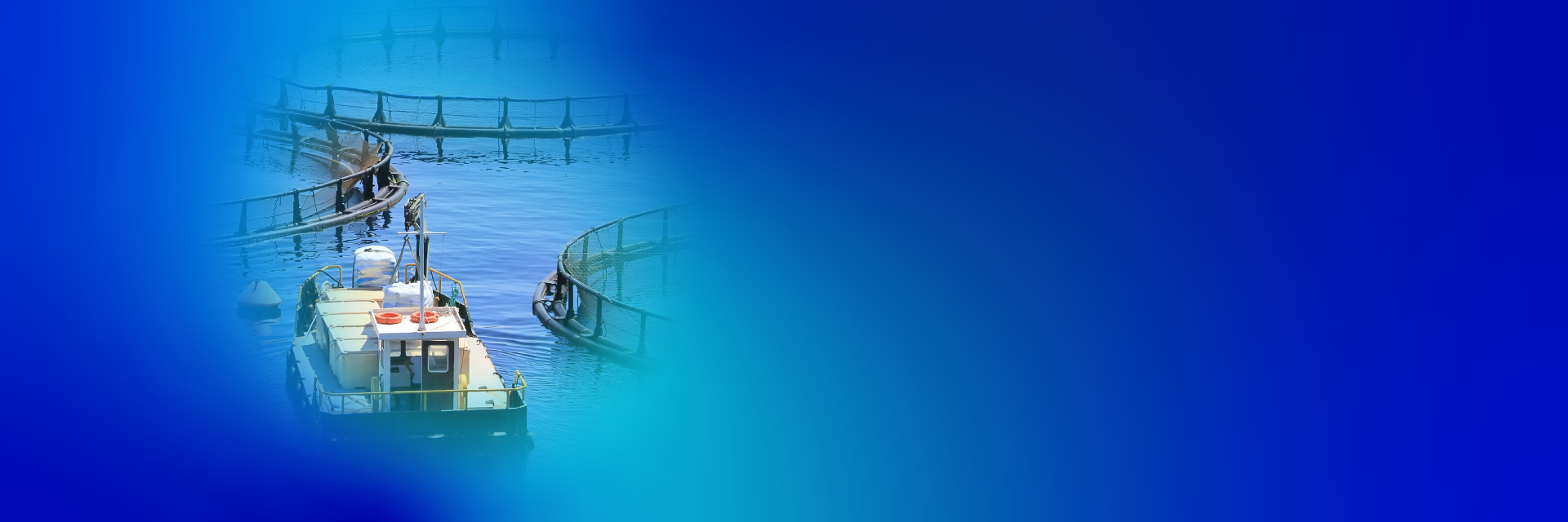 Website_Banner desktop