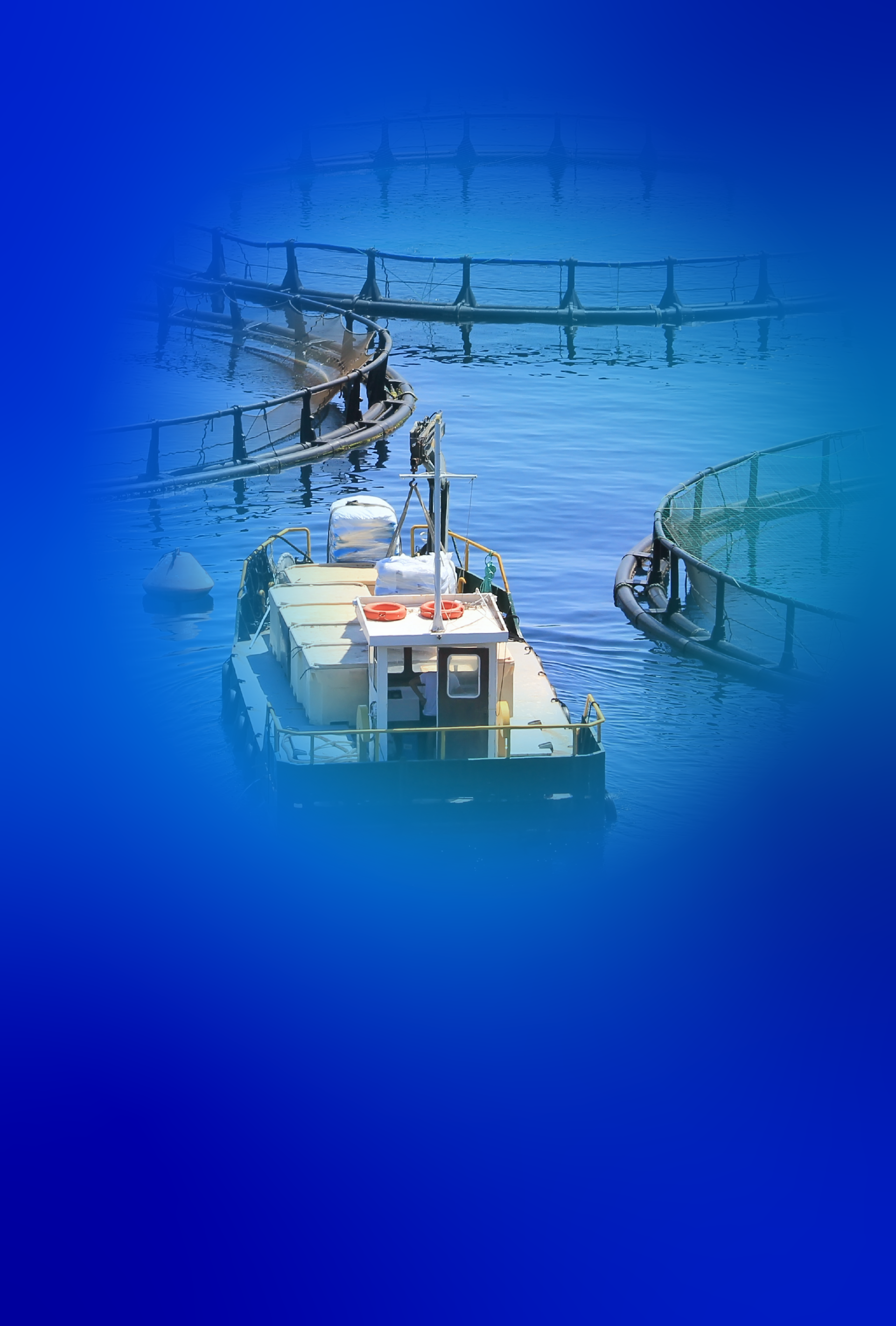 Website_Banner mobile