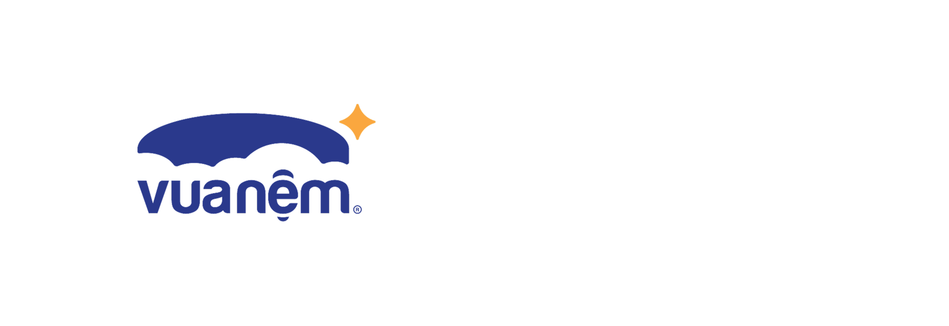 Website - Vua Nệm